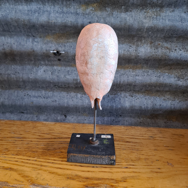 Anatomisch model foetus