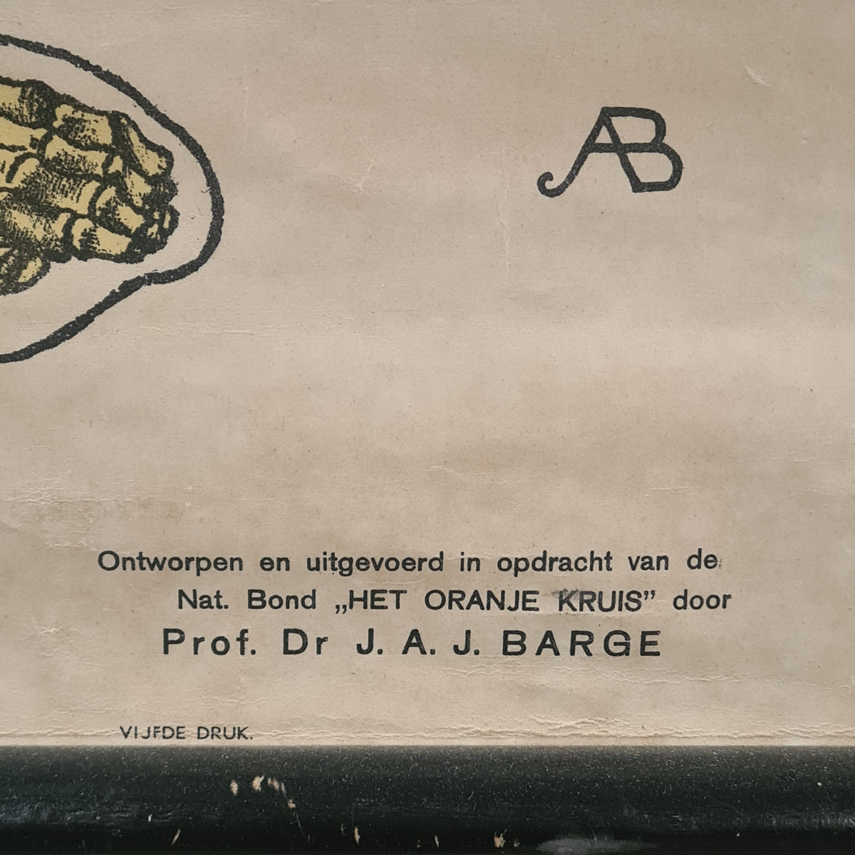 Anatomische schoolkaarten; Skelet Plaat I