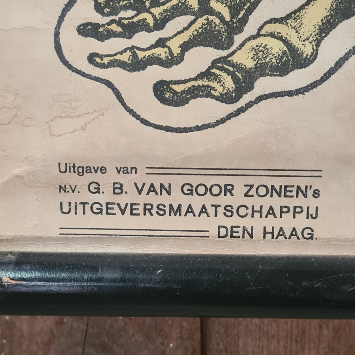 Anatomische schoolkaarten; Skelet Plaat I