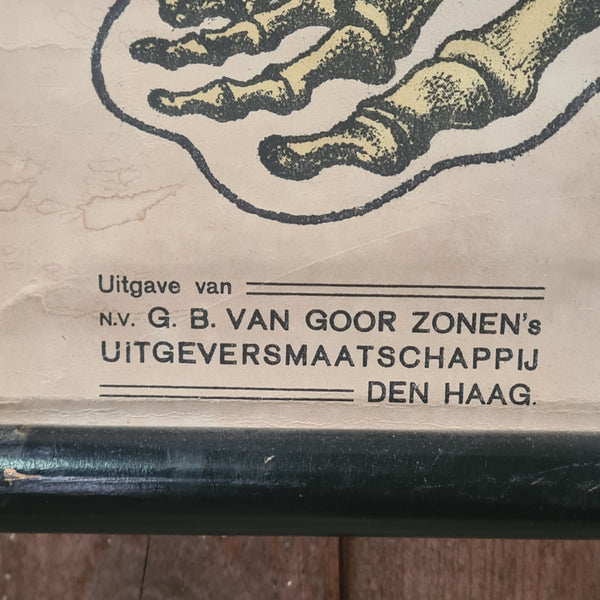 Anatomische schoolkaarten; Skelet Plaat I
