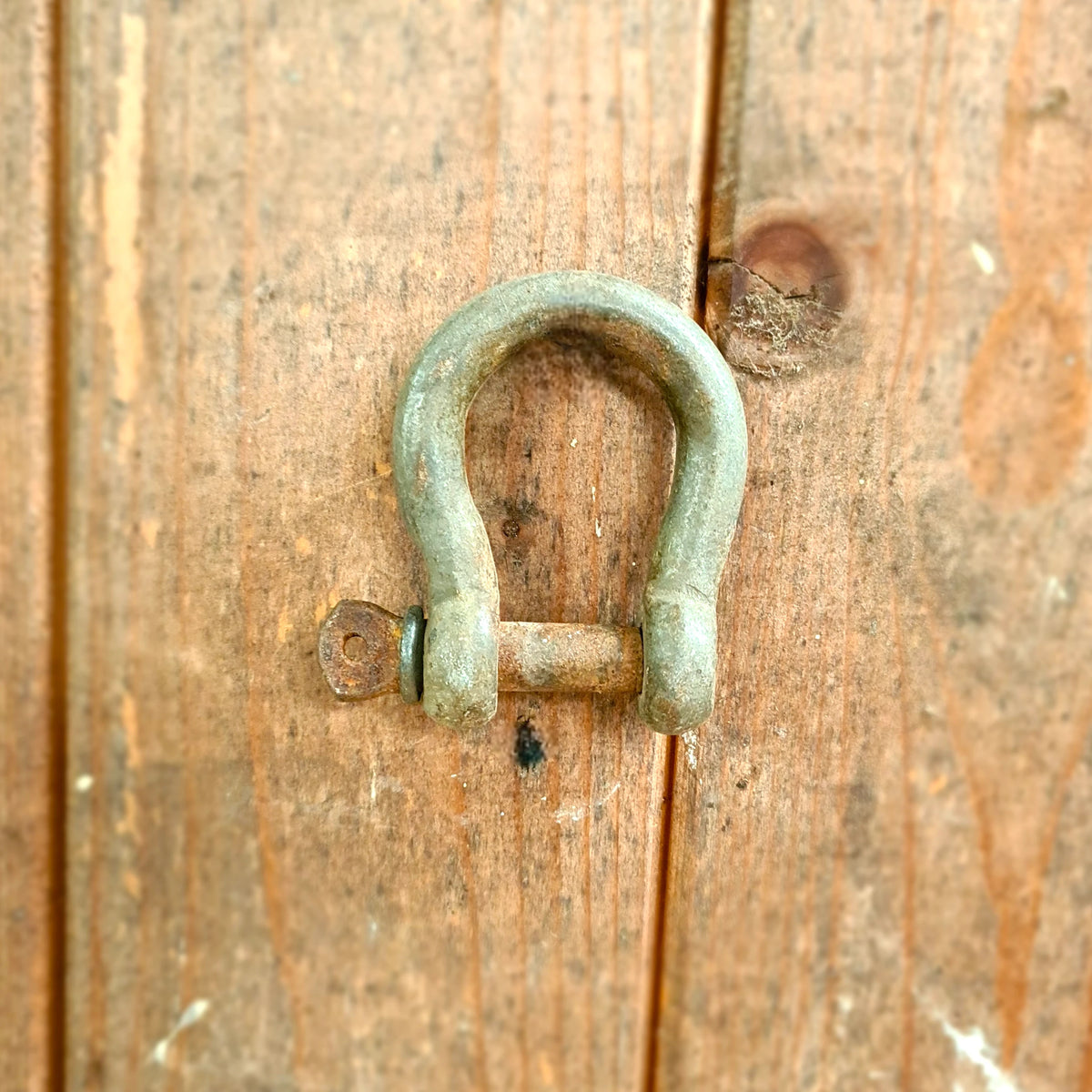 Diverse Harp- of D-sluitingen (klein formaat)