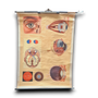 Anatomische schoolkaarten; Het oog, het zien, vintage medische poster.