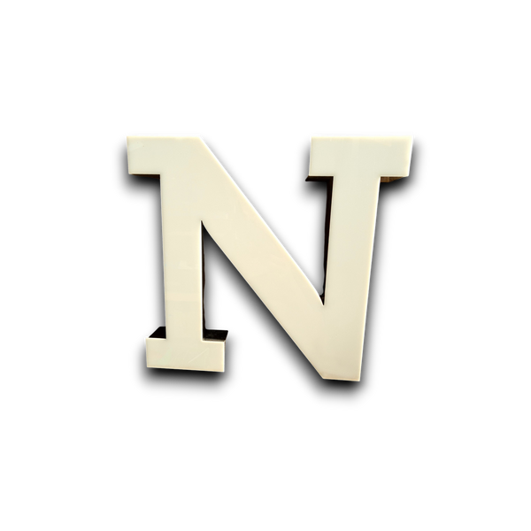 N Led letter wit/zwart